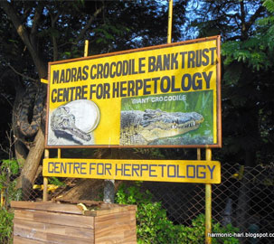 Madras crocodile bank