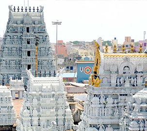Parthasarathy Temple